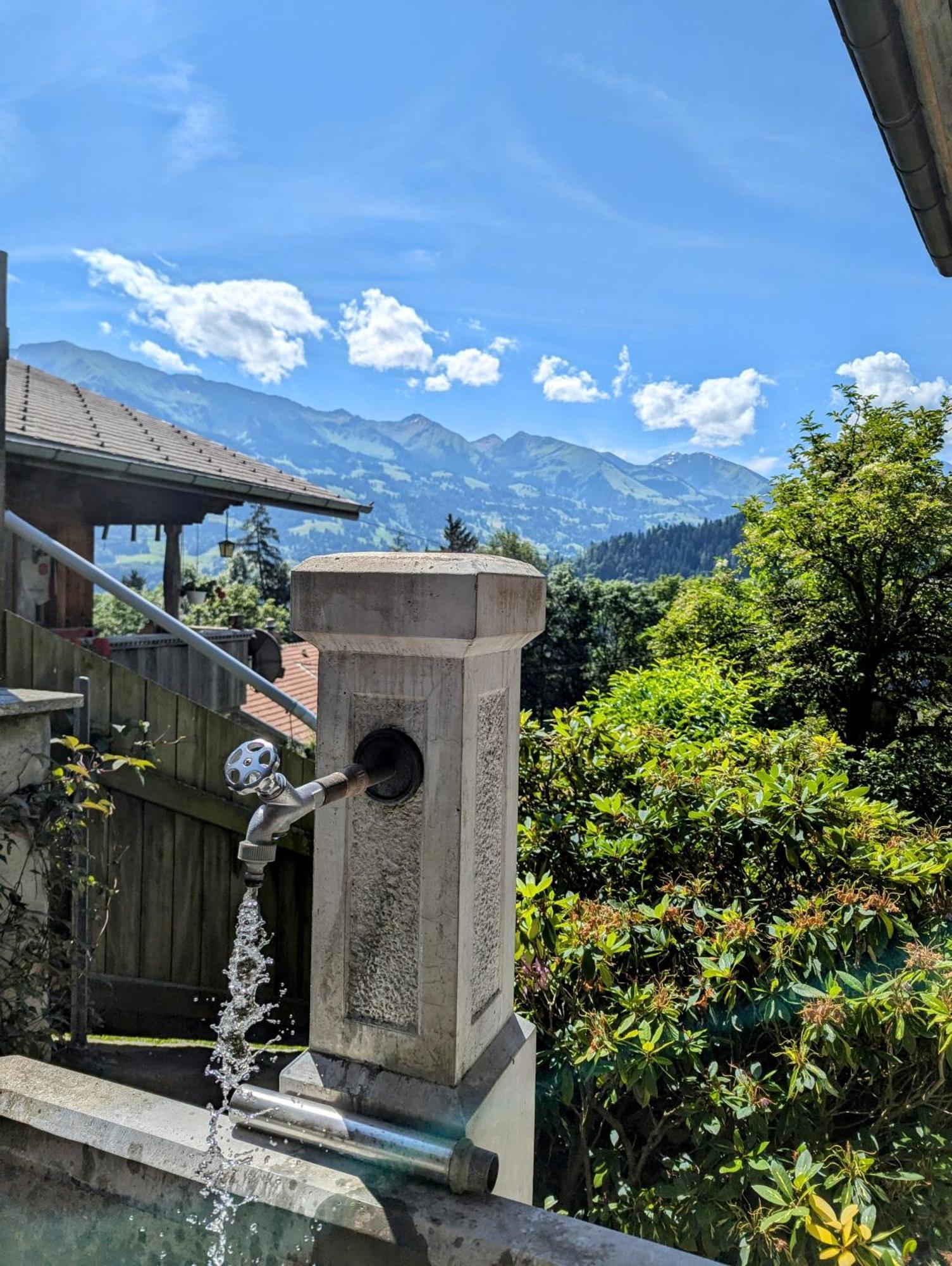 Swiss Mountain-Valley View Lodge Erlenbach im Simmental Exterior foto