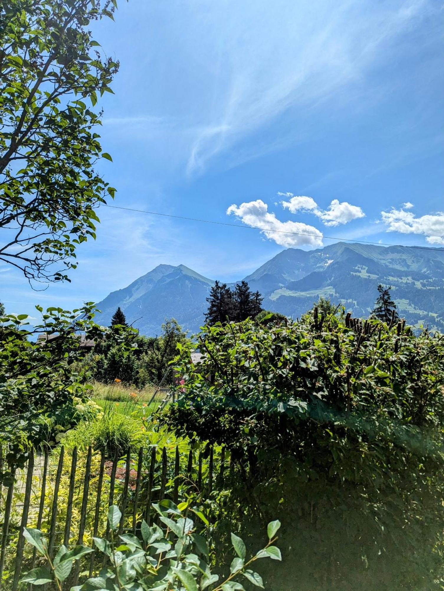 Swiss Mountain-Valley View Lodge Erlenbach im Simmental Exterior foto