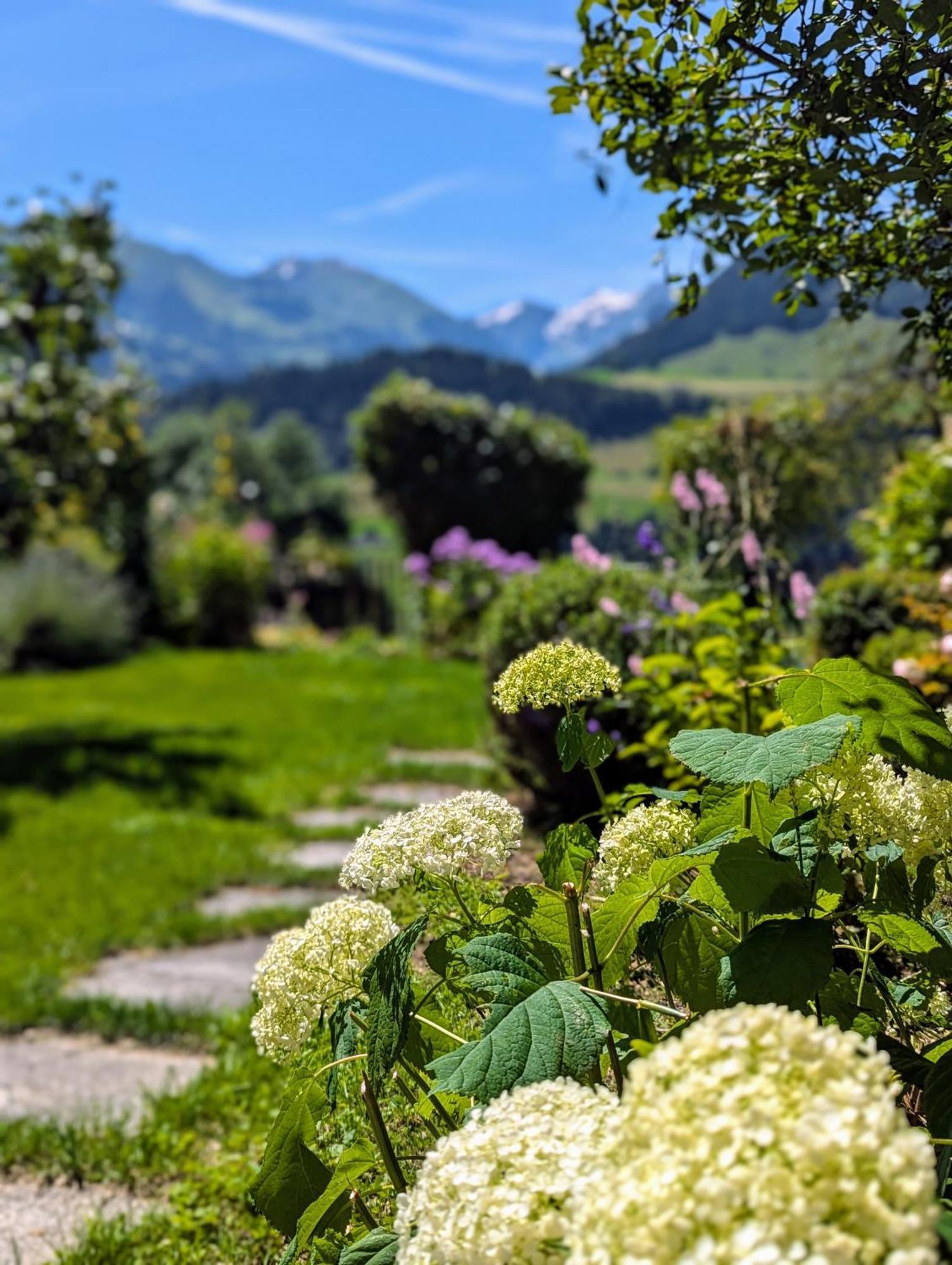 Swiss Mountain-Valley View Lodge Erlenbach im Simmental Exterior foto