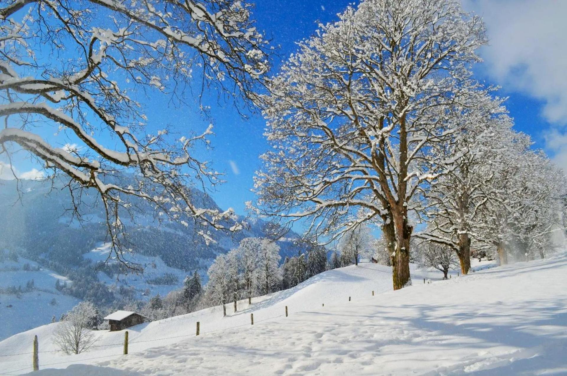 Swiss Mountain-Valley View Lodge Erlenbach im Simmental Exterior foto